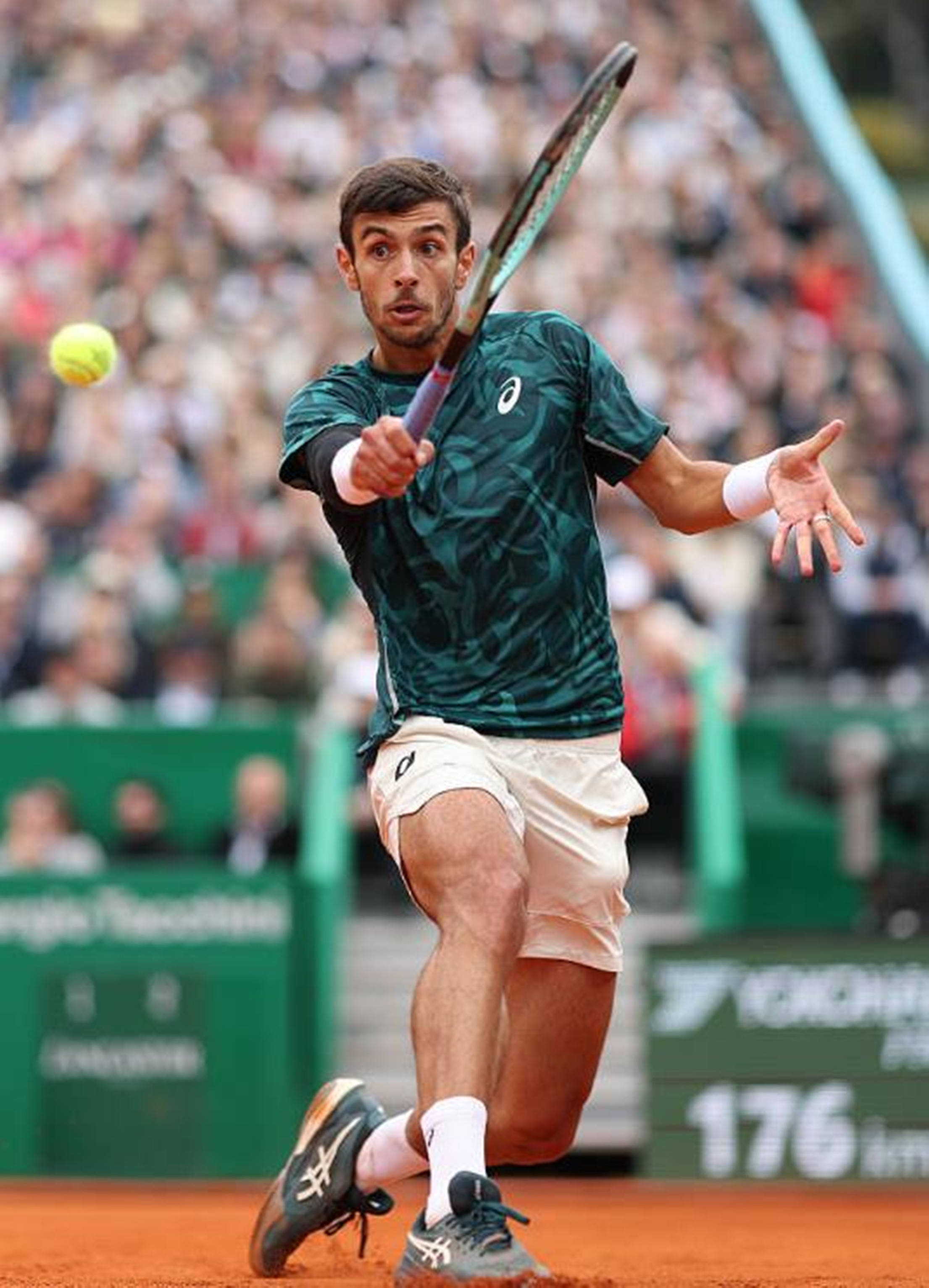 战术安排的 战术安排的