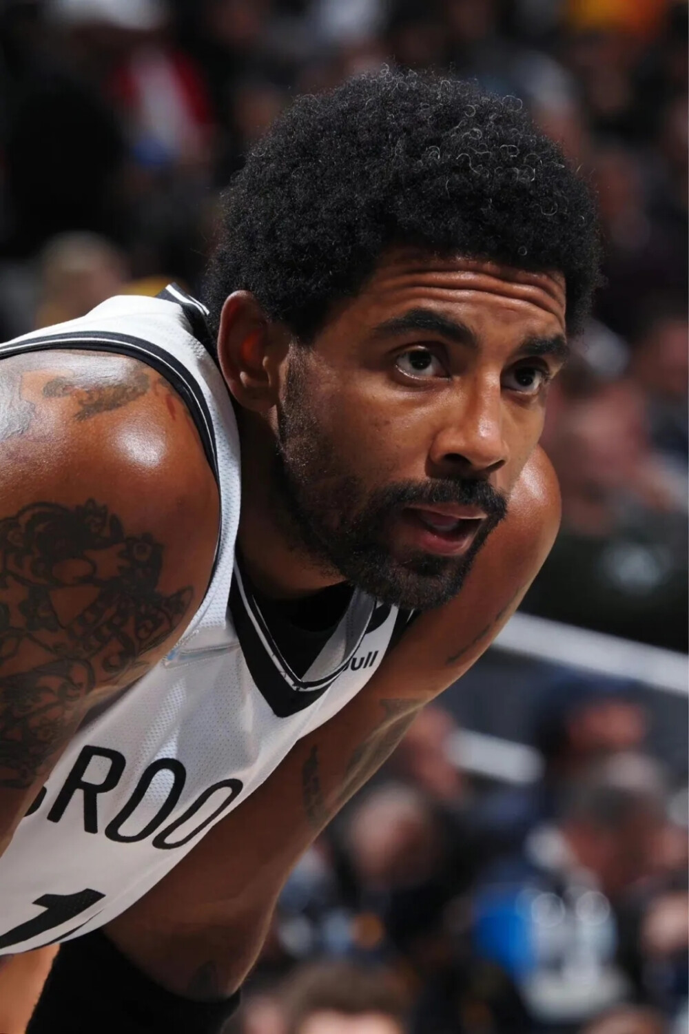 色的进攻能 色的进攻能